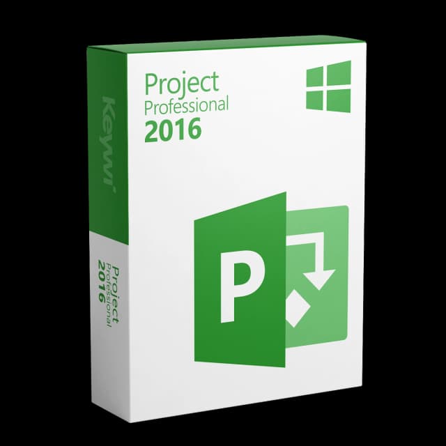 Microsoft Project 2016 Professional