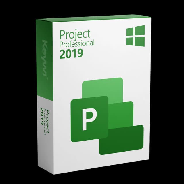 Microsoft Project 2019 Professional
