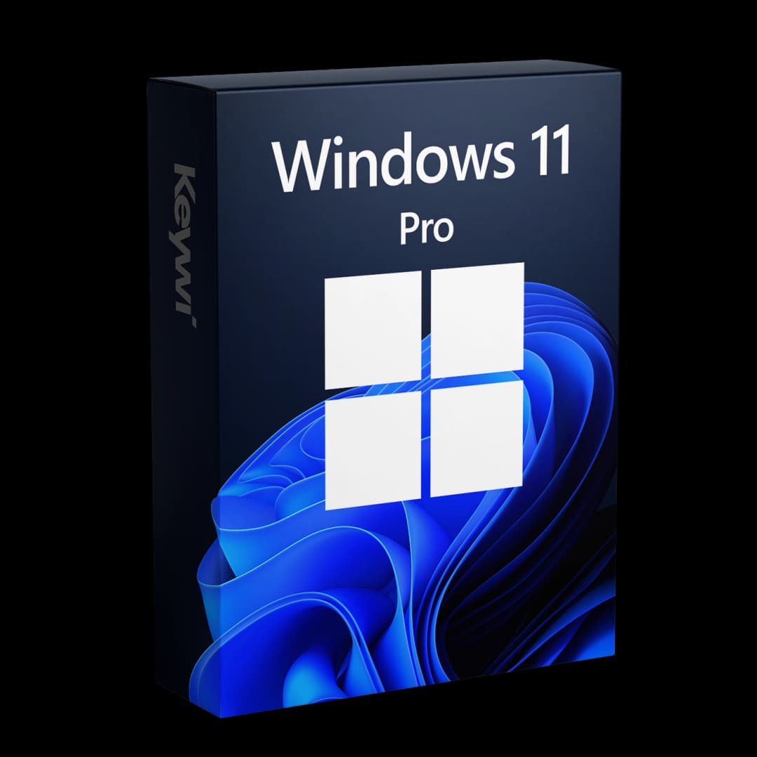 Windows 11 Pro